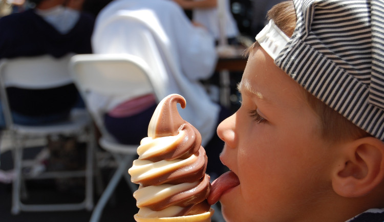 Kontrola zmrzlin přes léto moc valně nedopadla. Polovina neprošla