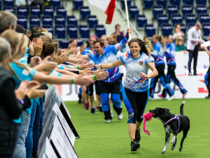 Šampionát v agility láká na špičkové sportovní výkony i zábavu pro všechny