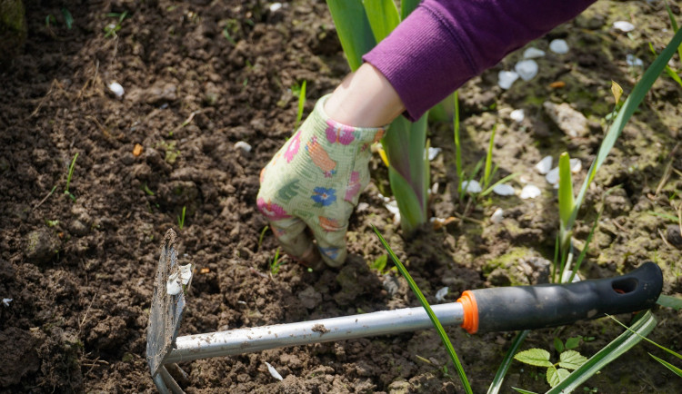 Zastupitelé navrhli změnu v územním plánu, aby zachovali zahrádky na Františkově a v Janově Dole