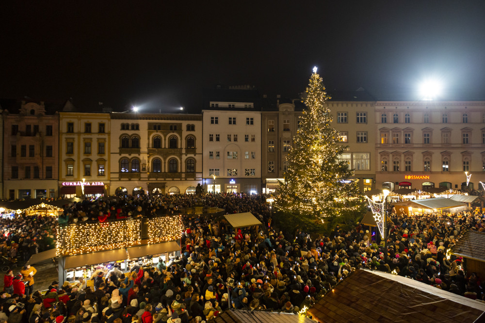 Rozsvícení stromu v Olomouci přilákalo také v roce 2022 davy. Jedle dostala jméno Perníček