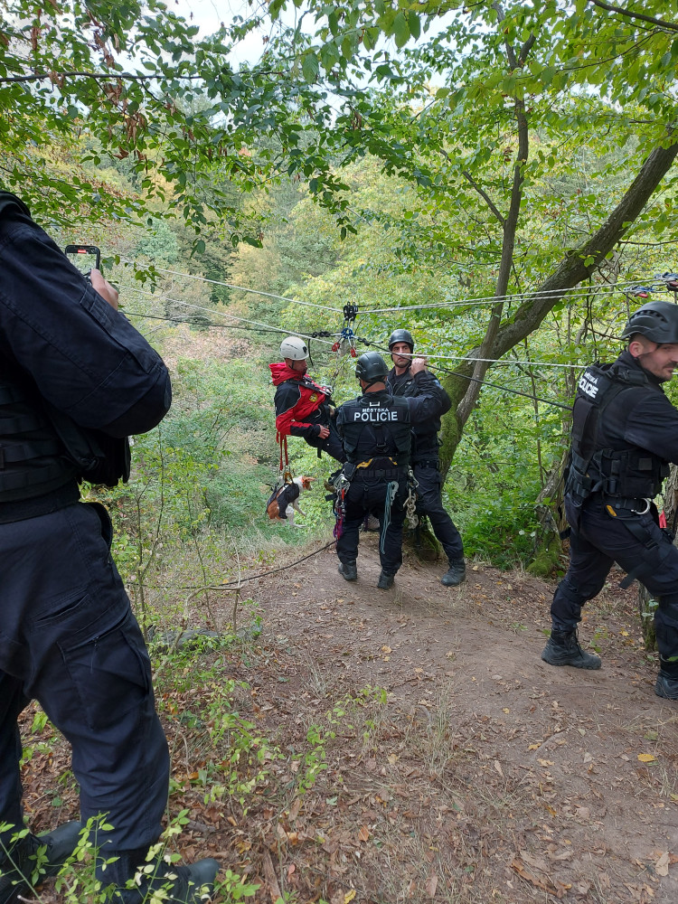 Brněnští strážníci cvičili náročný zásah. Se psy se slaňovali ze skály v Moravském krasu