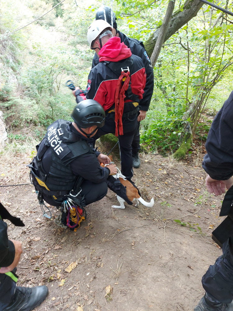 Brněnští strážníci cvičili náročný zásah. Se psy se slaňovali ze skály v Moravském krasu