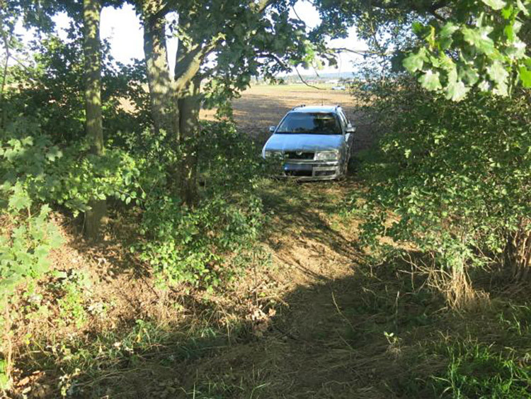 Zdrogovaný šofér prchl od nehody. V kukuřičném poli u Prostějova ho vyčenichal policejní pes Deryk