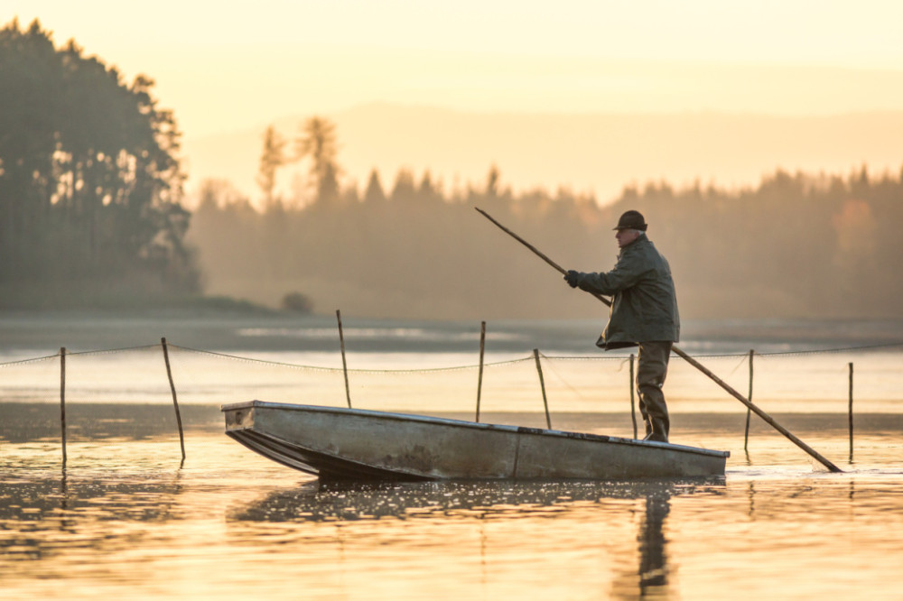 Holinky, mlha a sítě. Blíží se výlovy dvou největších jihočeských rybníků