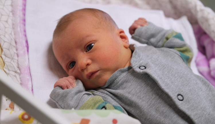 Porodnice v Havlíčkově Brodě je dle ankety nejlepší na Vysočině. V říjnu tam též proběhl letošní tisící porod