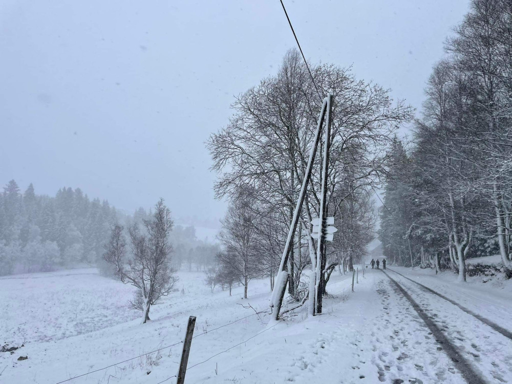 Pranostika o svatém Martinovi na bílém koni se vyplnila. Šumavu zasypal sníh
