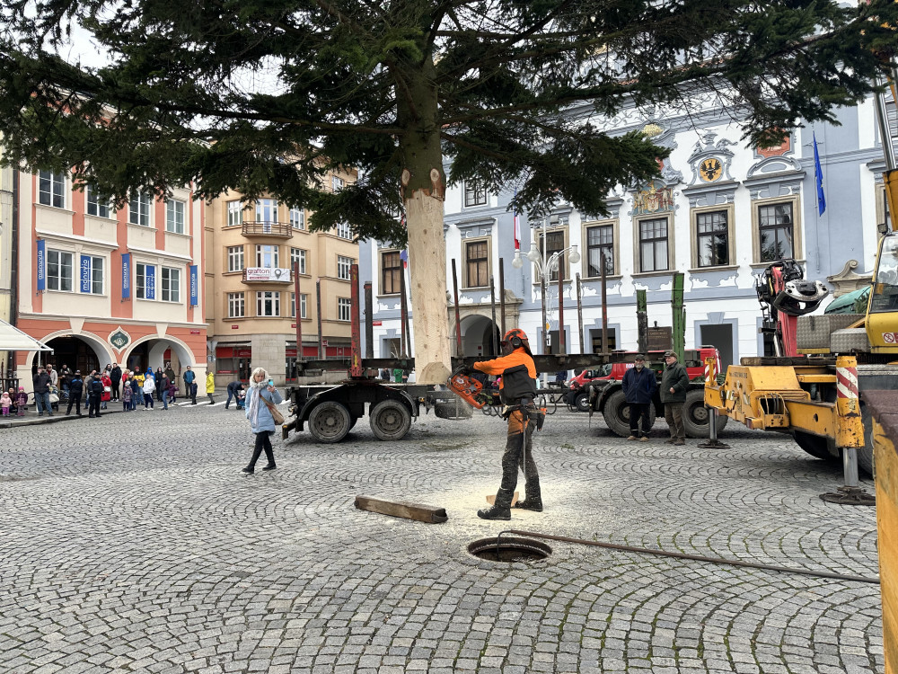 Vánoční strom je na svém místě. Náměstí ozdobila jedle z Kaliště