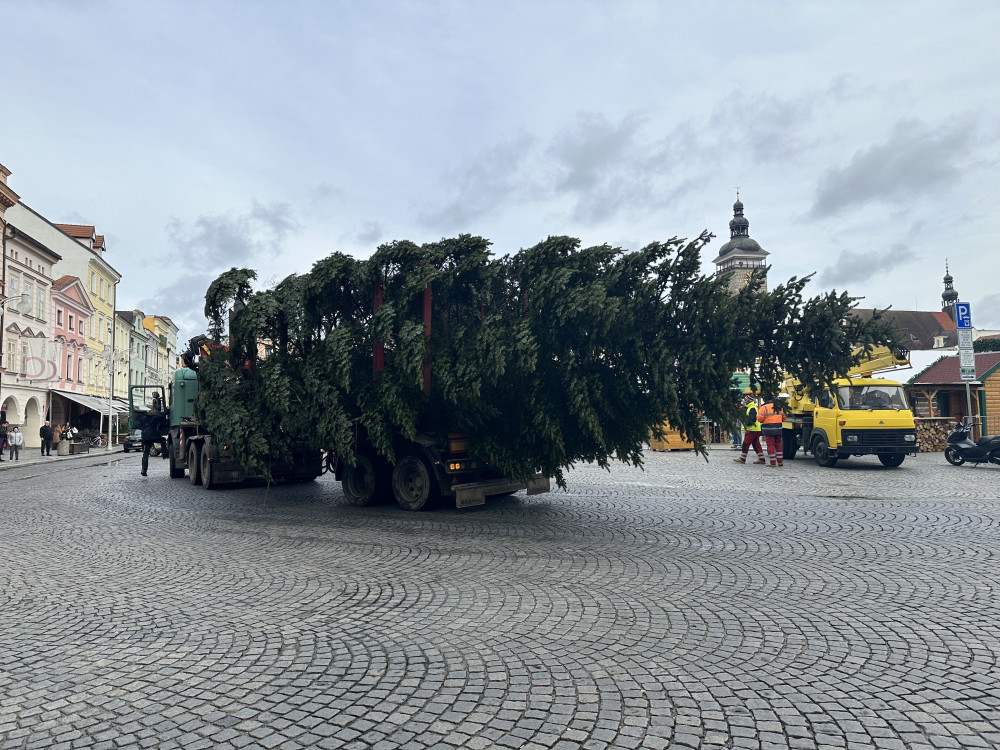 Vánoční strom je na svém místě. Náměstí ozdobila jedle z Kaliště