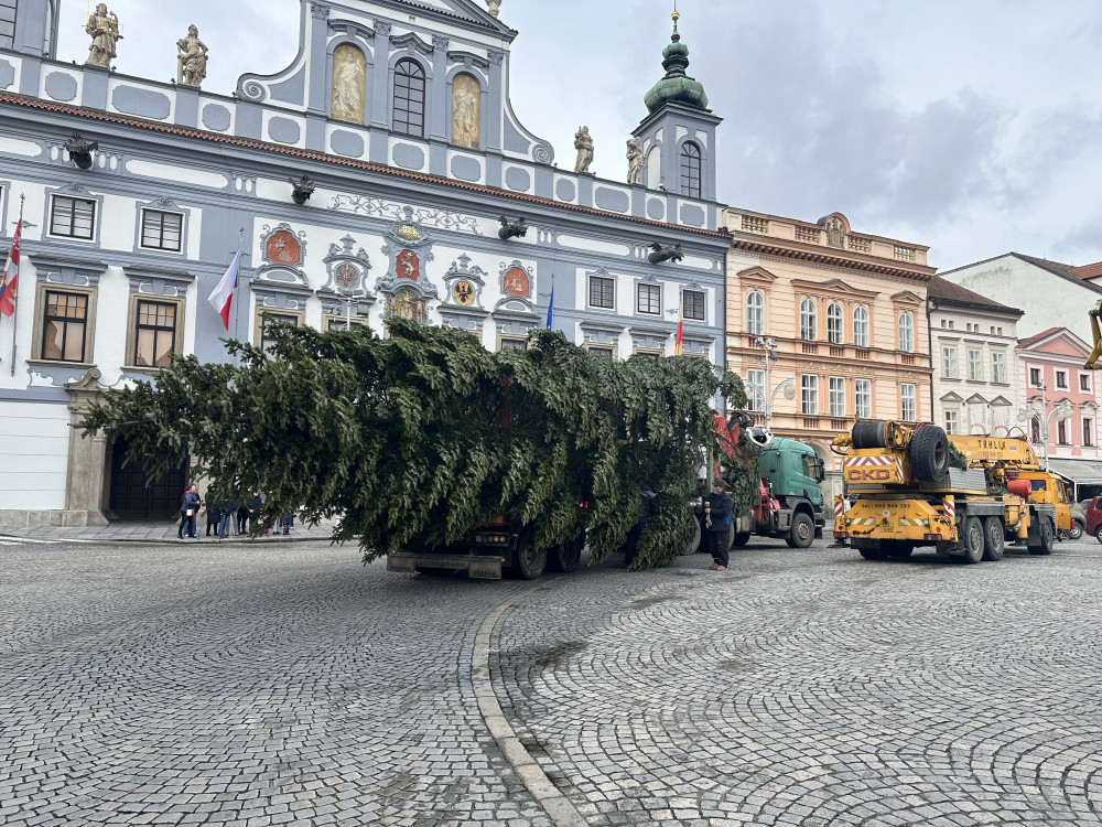 Vánoční strom je na svém místě. Náměstí ozdobila jedle z Kaliště