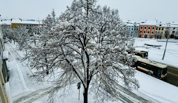 V Jihlavě napadlo až půl metru sněhu, prioritu při prohrnování mají hlavní tahy. MHD zatím bez velkého zpoždění