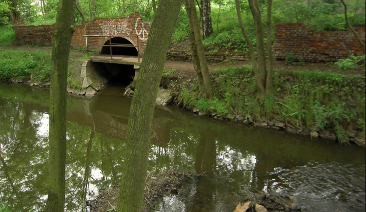 Muž spadl do potoka, zůstal zaklíněný v bahně a koukala mu jen hlava. Sám se nemohl dostat ven