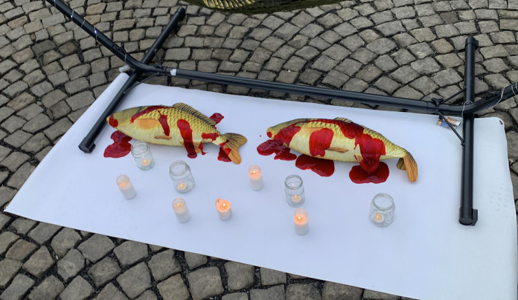 VIDEO: Aktivisté v centru Prahy nabízeli lidem náhražky za vánoční kapry