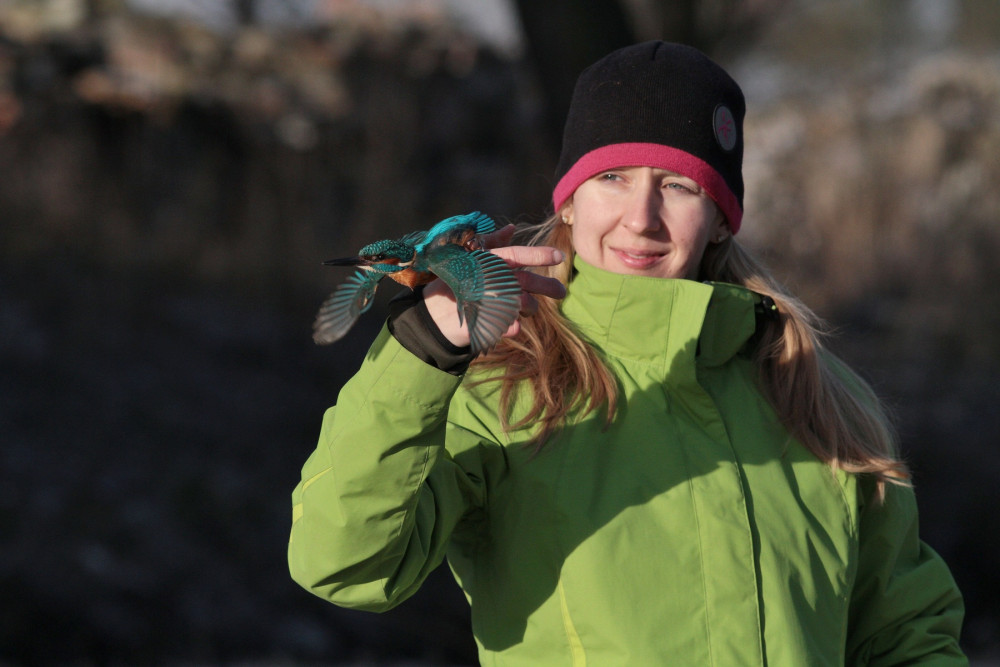 Záchranné stanice jsou přeplněné. Přijaly rekordní počet zvířat