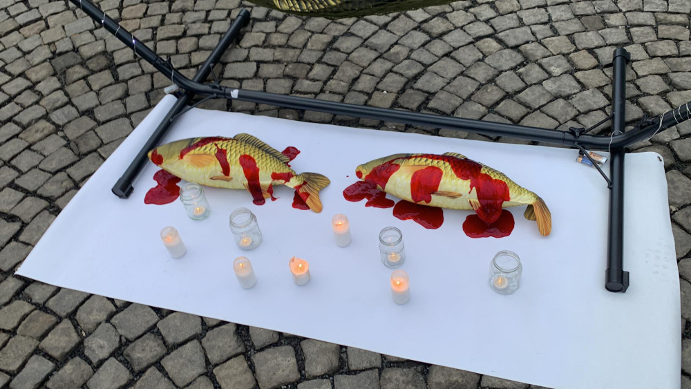 VIDEO: Aktivisté v centru Prahy nabízeli lidem náhražky za vánoční kapry