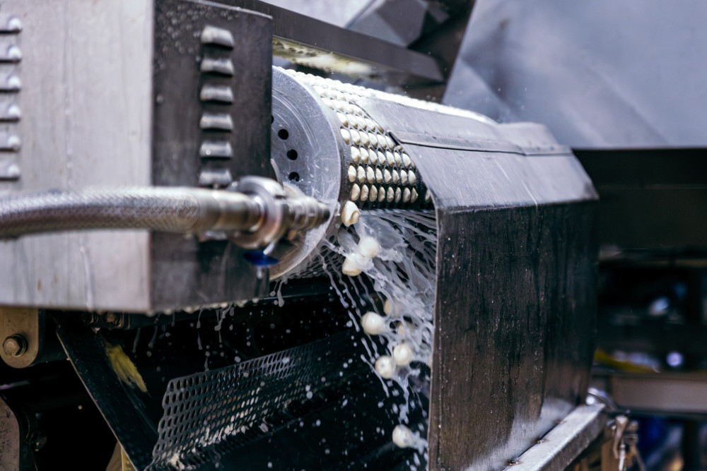 Mlékárna Klatovy slaví 100 let. Vyhrajte oblíbené produkty včetně mozzarelly Galbani