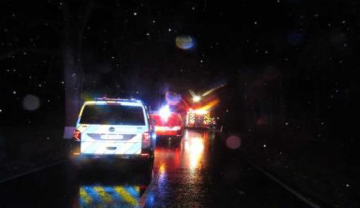 Pětadvacetiletý řidič přejel do protisměru a čelně narazil do stromu. O život přišel den před Vánocemi