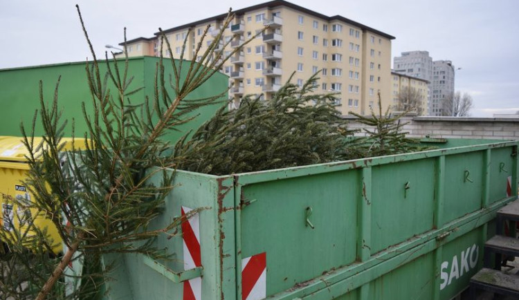 Kam s vánočním stromečkem? Do sběrného střediska odpadu nebo k černé popelnici