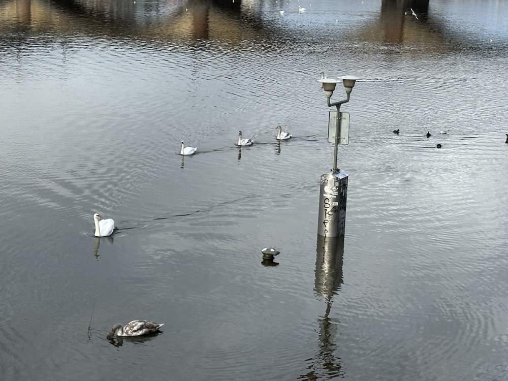 Na Vltavu se vrátí lodě, odstraní i protipovodňové zábrany. Náplavky město otevře jako poslední