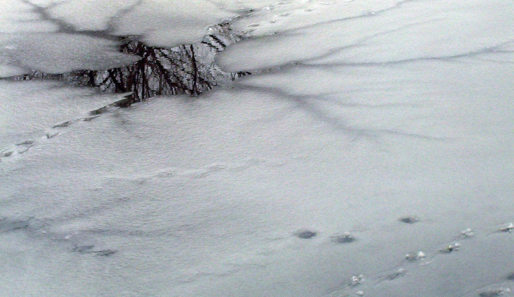 Led teprve vzniká a je tenký, varuje povodí Moravy před vstupem na zamrzlé hladiny