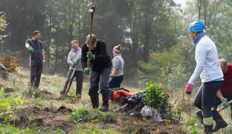 Nadace podpořila záchranu tetřívka i výsadbu druhově pestrých lesů