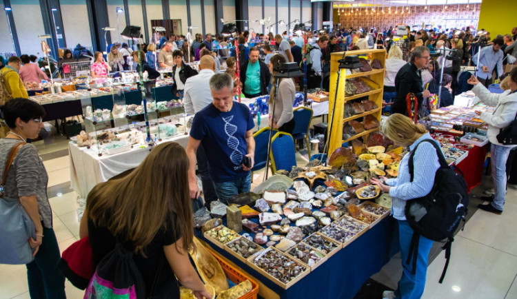 Vltavíny i ještěrka v jantaru na Minerálech a drahých kamenech