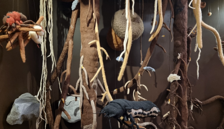 Děti i dospělí zalézají v muzeu mezi kořeny