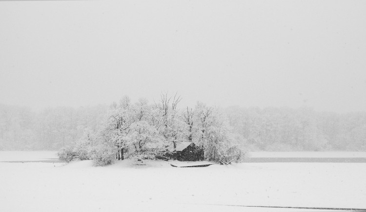 Brněnský scenárista chystá remake hororu z osmdesátek. Originál jsem před psaním viděl pětatřicetkrát, říká