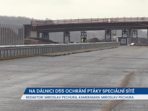 Na vznikající dálnici D55 budou unikátní sítě, ochrání zvířata i řidiče