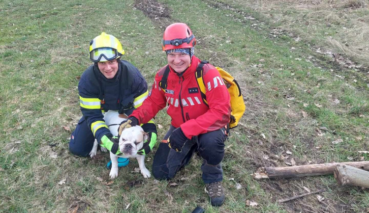 Pes spadl na letišti do nezajištěné kanálové šachty. Vysvobodili ho hasiči