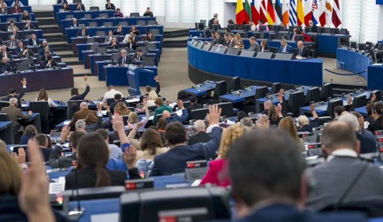 Ve vedení EP stojí 20 lidí