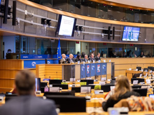 Kdo stojí v čele výborů EP?