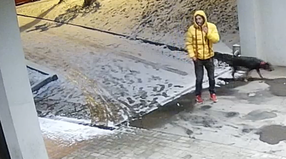 Foto ze záznamu kamery.