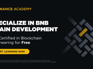 Binance Academy představila inovativní vzdělávací programy pro vývojáře. Zájemci se mohou vzdělávat zdarma a bez předchozích zkušeností