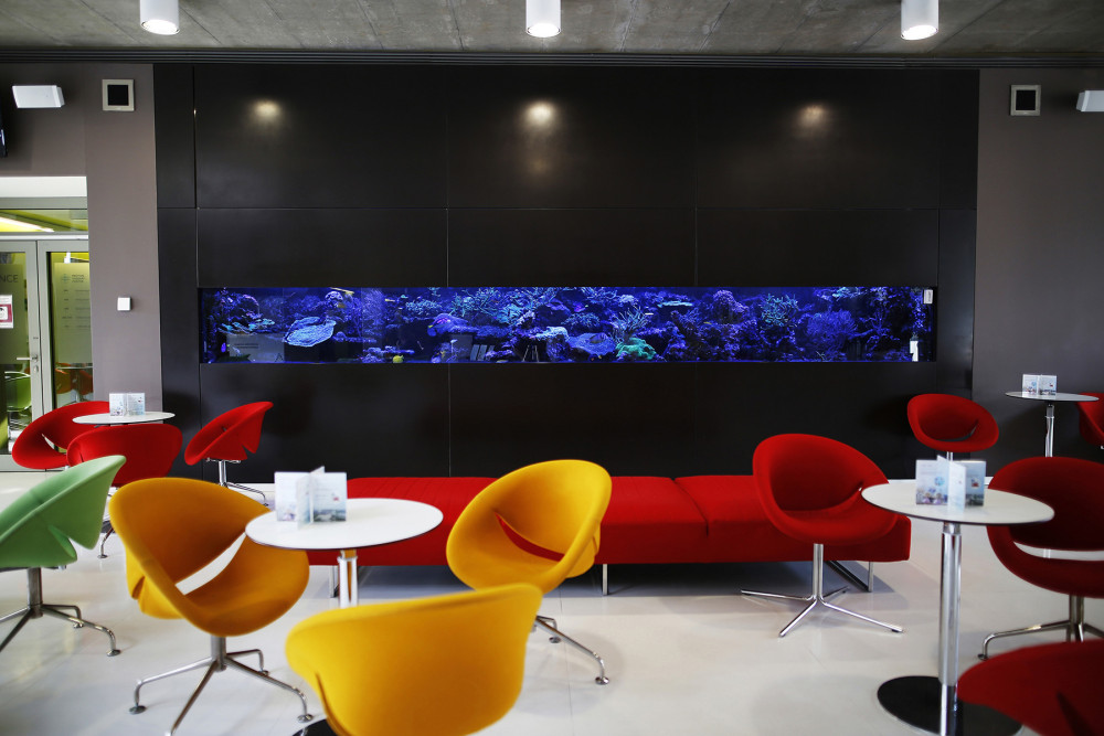 Rakovinu prostaty umí v Praze léčit na světové úrovni