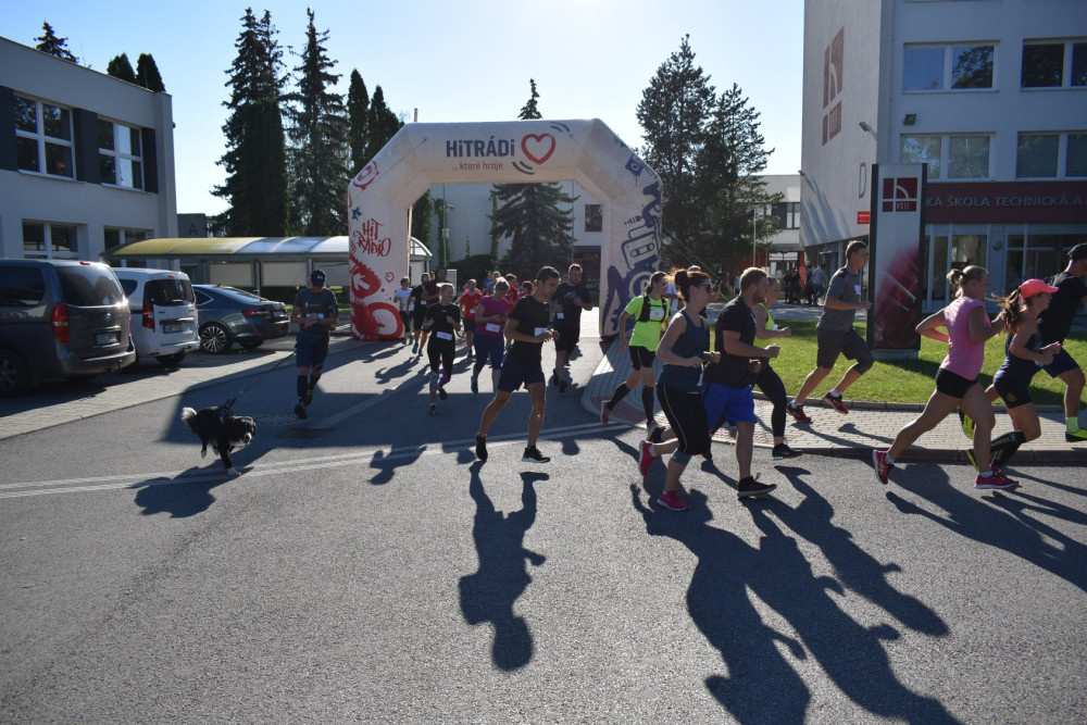 Přijďte na Nadační běh a pomozte pejskům z útulku Pes pro život