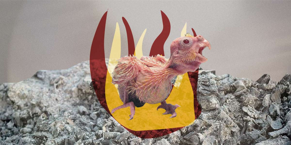 Autorka úvodní grafiky: Lenka Matoušková