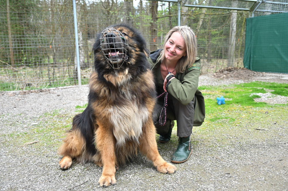 Královéhradecký útulek pro zvířata by se měl stát i centrem lesnípedagogiky