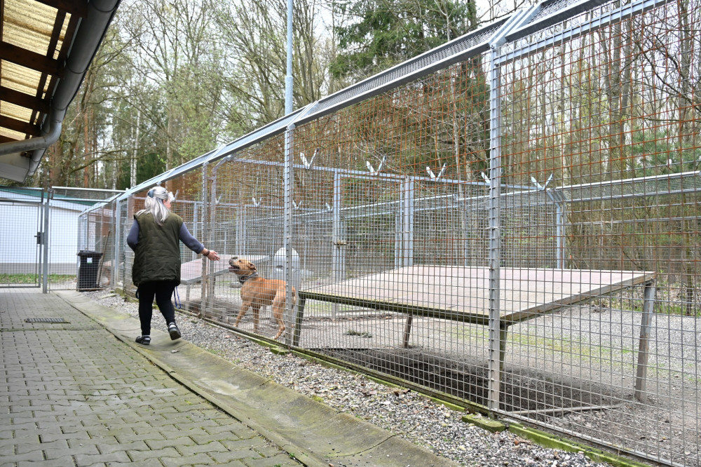 Královéhradecký útulek pro zvířata by se měl stát i centrem lesnípedagogiky