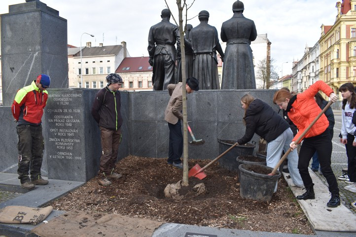 Původní lípu u pomníku T. G. Masaryka umořili lidé a psi močením, druhou polámal vandal, třetí snad už vydrží