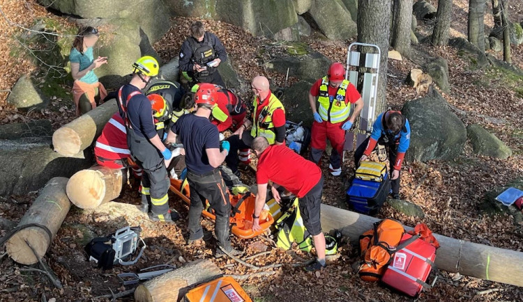 Na muže v Kateřinkách spadl strom. Pomoc zavolali náhodní kolemjdoucí
