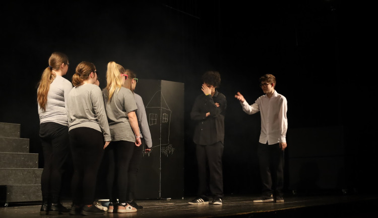 Kraj pošle peníze na divadelní festival i vybavení Malého divadla