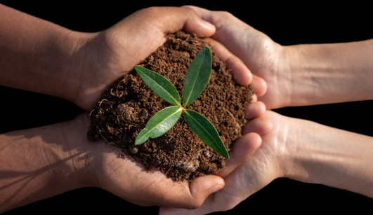 Dobročinné organizace mohou přihlašovat své projekty do programu „Vy rozhodujete, my pomáháme“