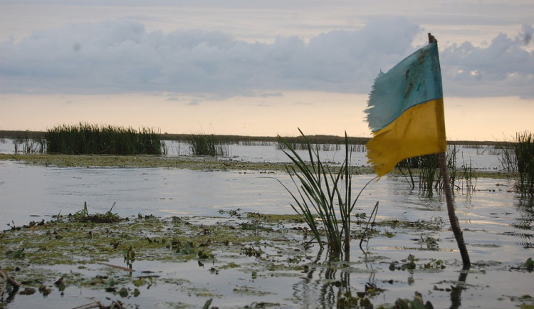 1000x1000-1455642215-flag-945788-960-720