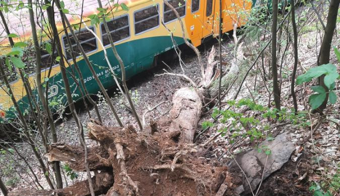 FOTO: Strojvedoucí nezvládl zabrzdit. Vlak s patnácti cestujícími na Žďársku narazil do stromu
