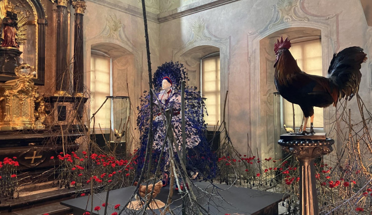 V Brně opět začal týden plný umění. Florista vystavuje květinové šaty obklopené trním, karafiáty i drůbeží