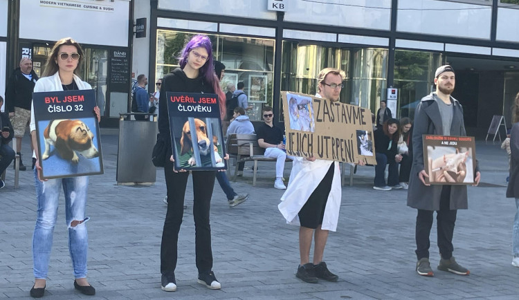 Aktivisté v Brně tiše protestovali proti pokusům na zvířatech. Kolemjdoucí na ně útočně pokřikovali