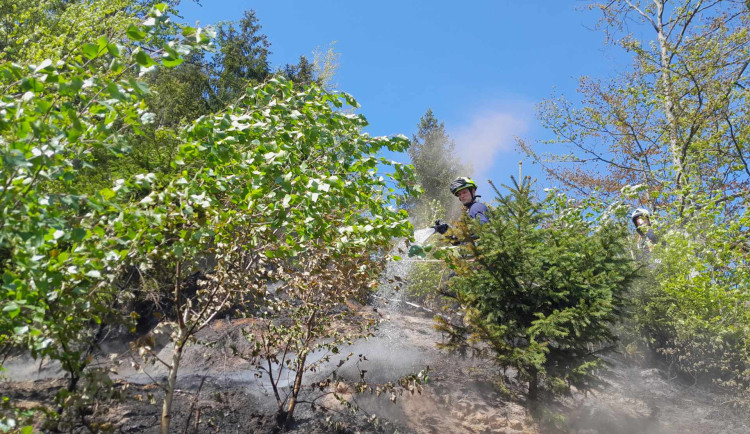 Riziko požárů výrazně vzrostlo. V lesích je zakázáno pálit klestí i kouřit