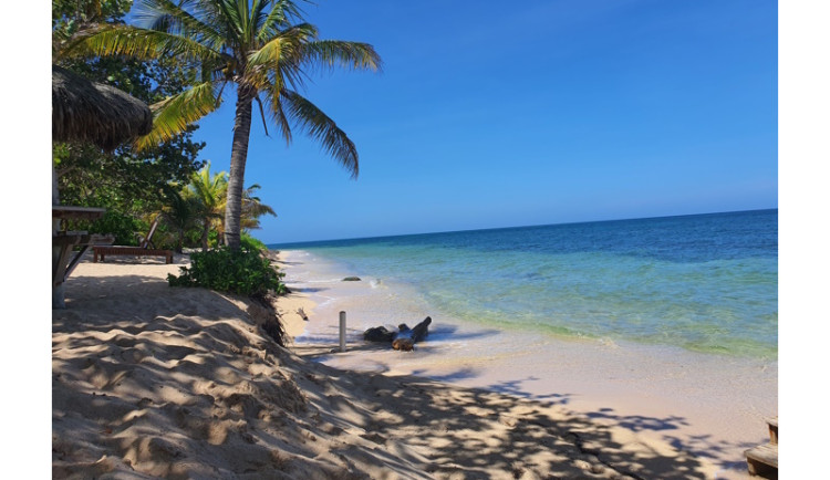 Toužíte po životě v ráji? Objevte Roatan – perlu Karibiku!