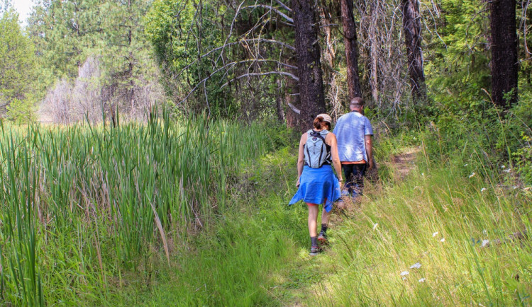 Nový projekt představuje netradiční turistické trasy Českem. Odlehčí přelidněným cestám.