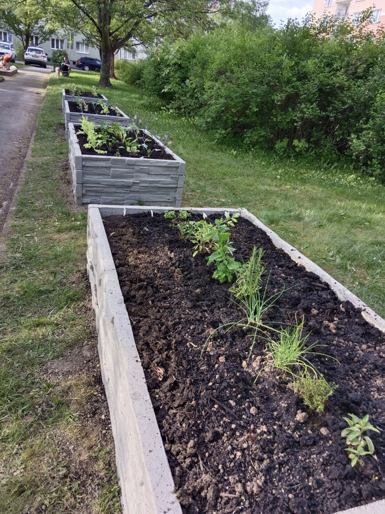 foto: Tereza Koudelková